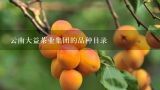 云南大益茶业集团的品种目录,大益茶最好的几个品种？