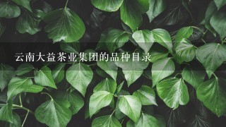 云南大益茶业集团的品种目录