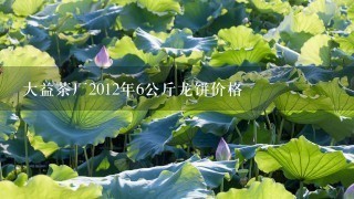 大益茶厂2012年6公斤龙饼价格