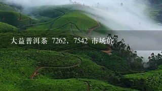 大益普洱茶 7262，7542 市场价